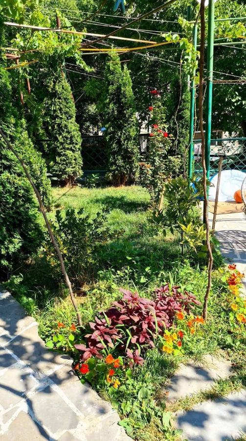 Guest House Casa Borjomi Exterior photo